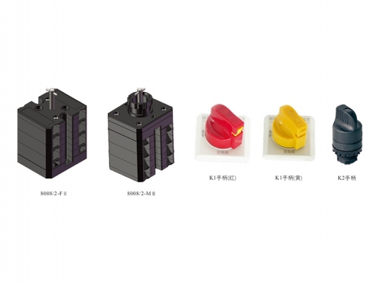 Best Price for 10 Gauge Explosion Proof Connector - 8008/2 series Explosion-proof control switch(ⅡType) – Feice